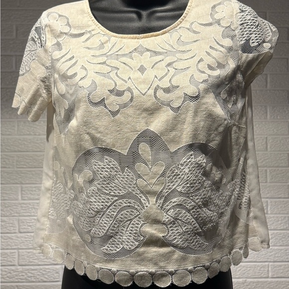 Cream Embellished Crop Blouse - Picture 1 of 3